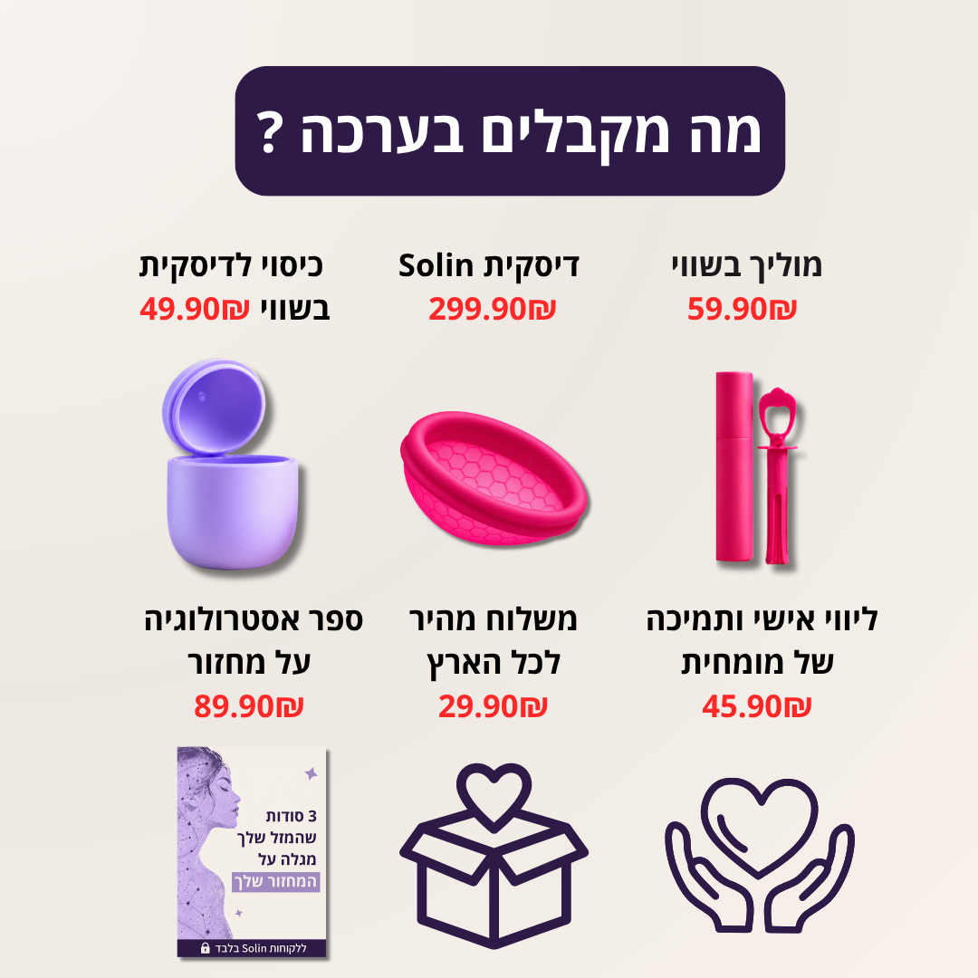 ערכת דיסקית