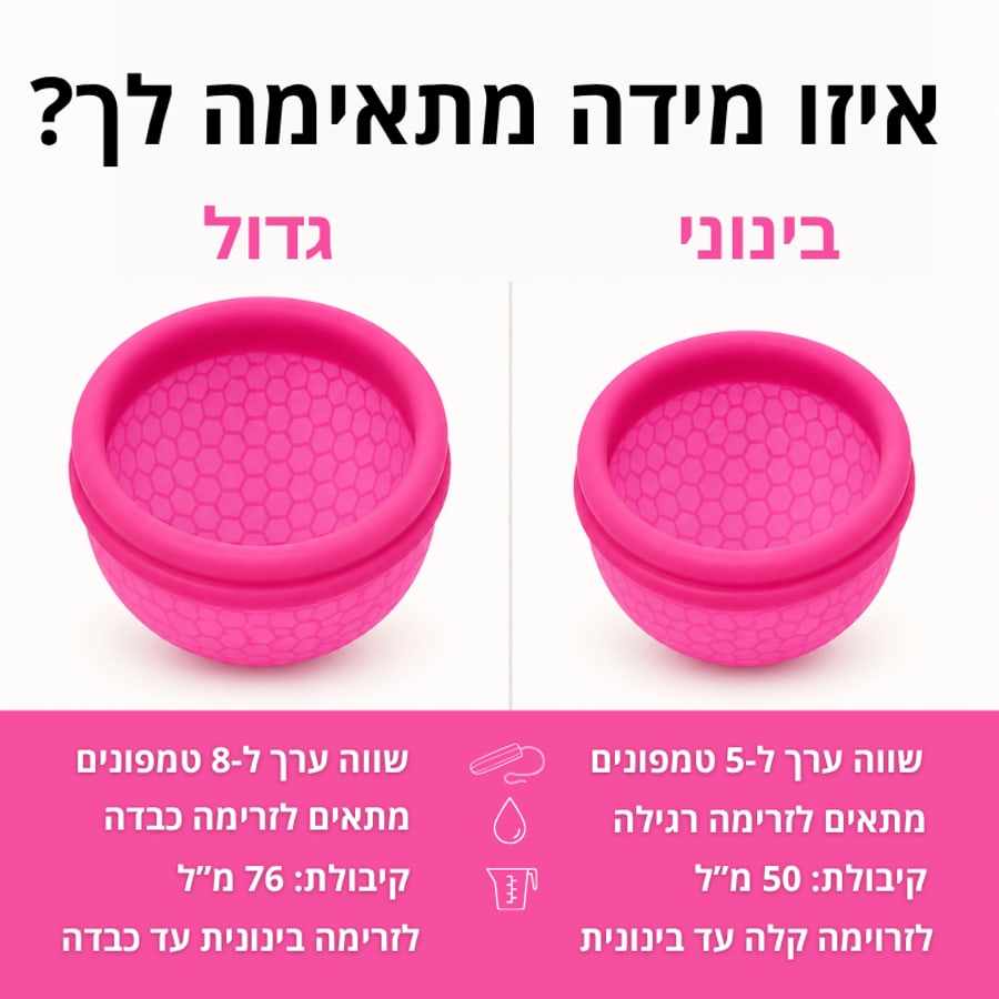 טבלת מידות של דיסקית Solin — בינוני מול גדול